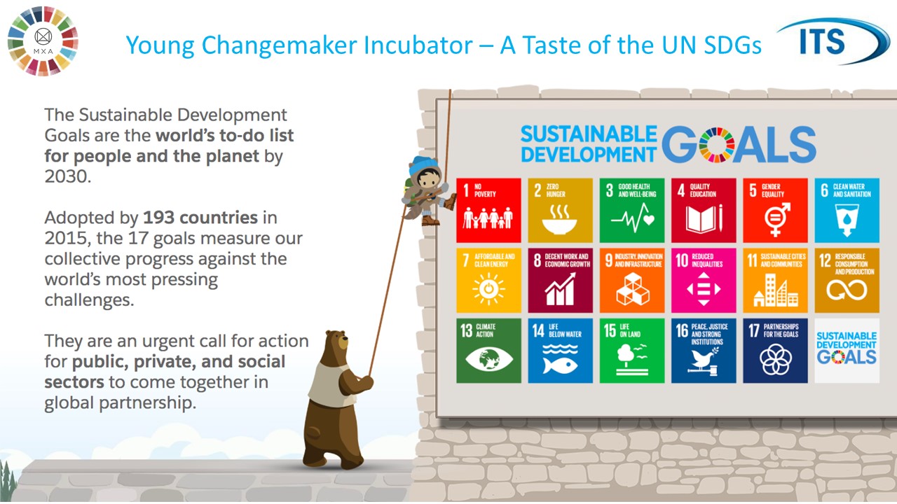 UN SDG Program