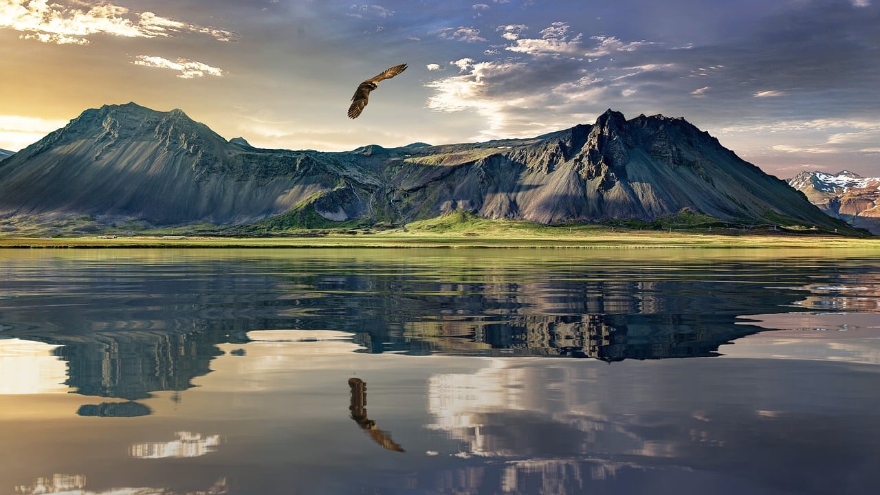 IMG-BLOG