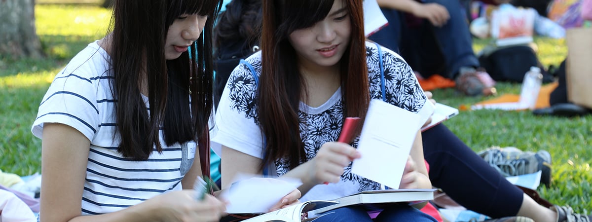IMG-BLOG