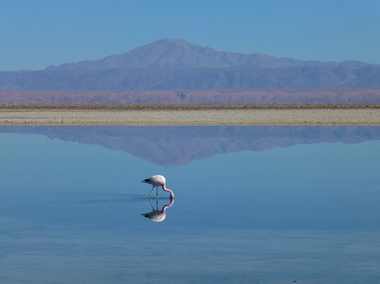 IMG-BLOG