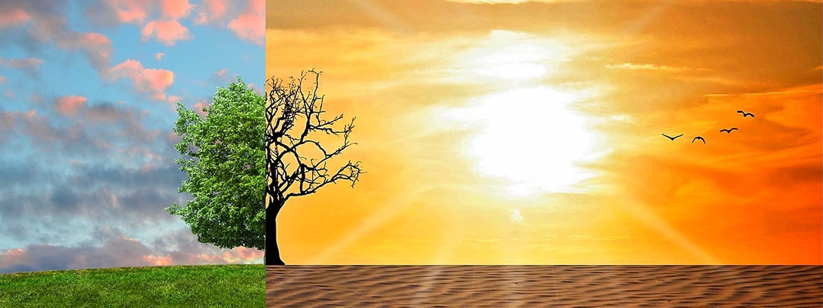 IMG-BLOG