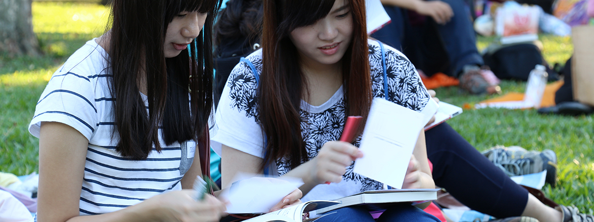 IMG-BLOG