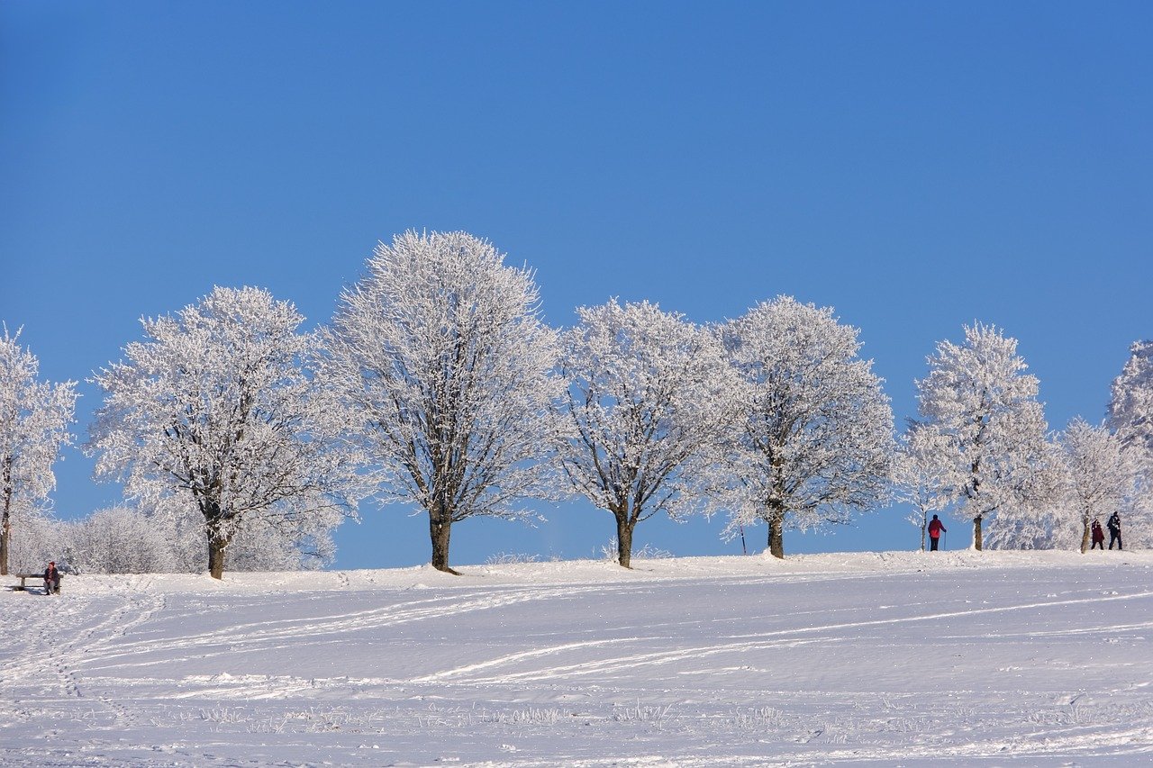 Sustainability round-up - interesting articles from around the web