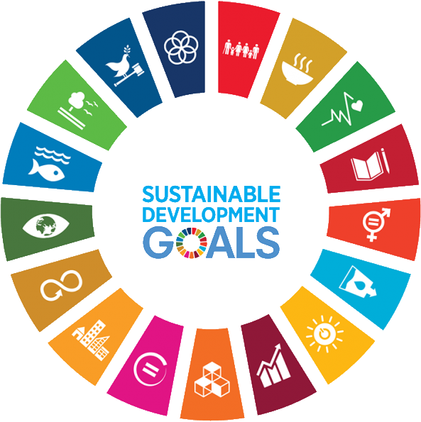 SDG Wheel
